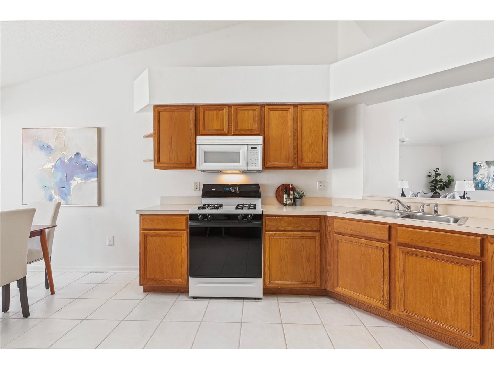 30446 Tremont Drive Wesley Chapel FL 33543 TB8519315 image7