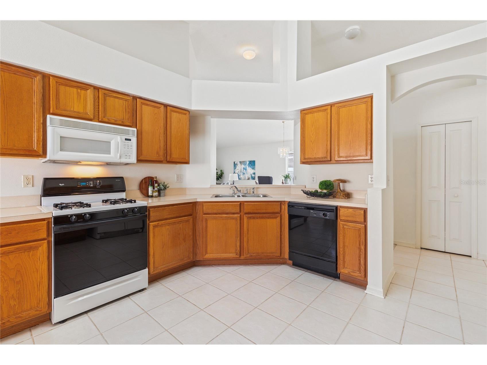 30446 Tremont Drive Wesley Chapel FL 33543 TB8519315 image8