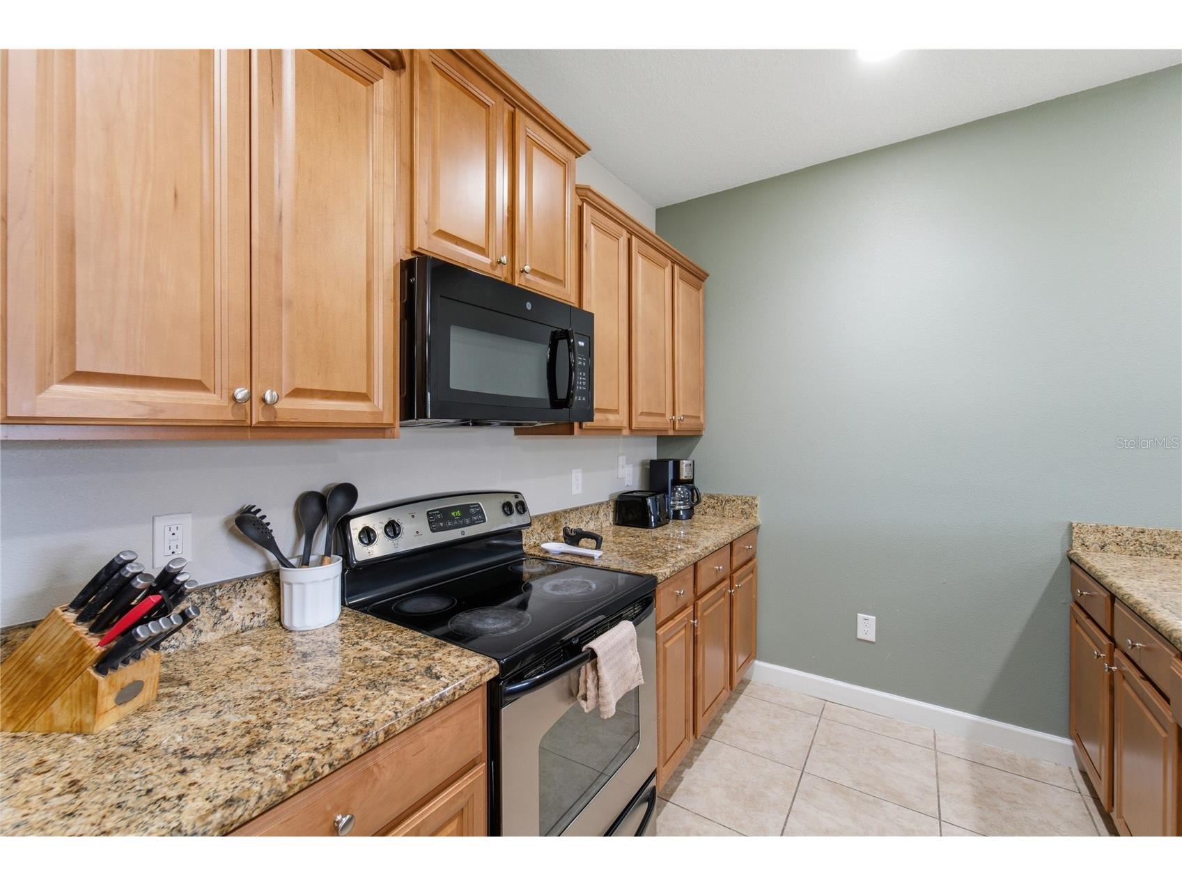 3045 Beach Palm Avenue Kissimmee FL 34747 O6416702 image12