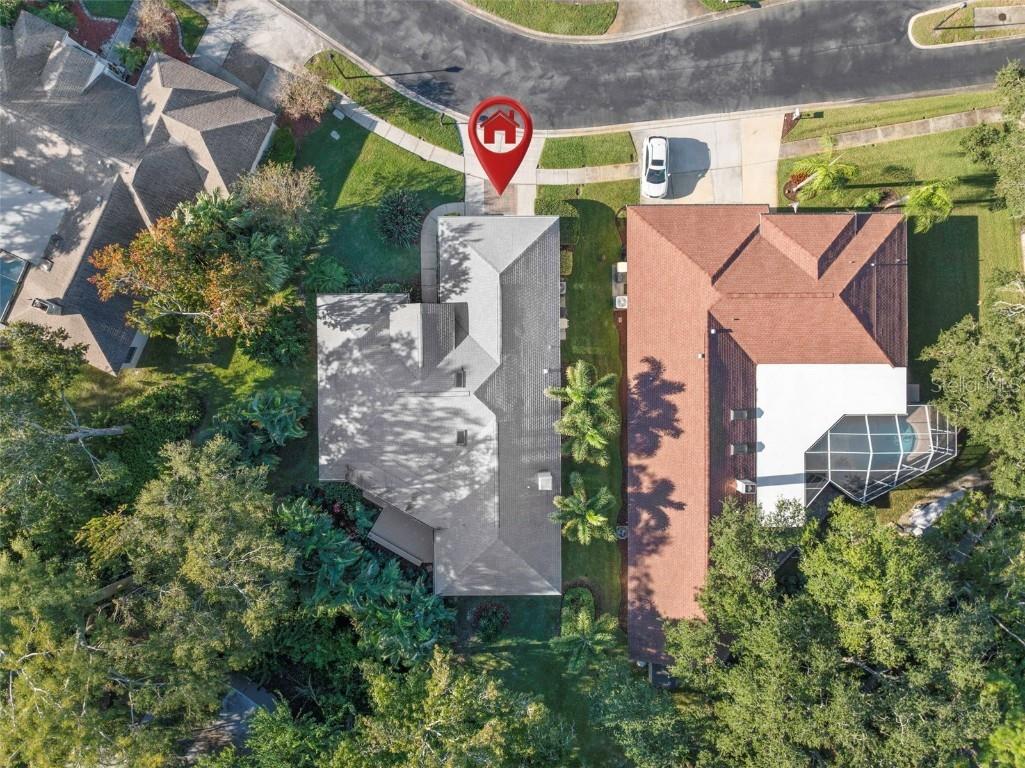 3045 Crest Drive Clearwater FL 33759 TB8444803 image52