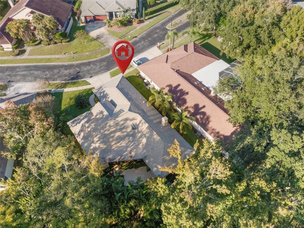 3045 Crest Drive Clearwater FL 33759 TB8444803 image53