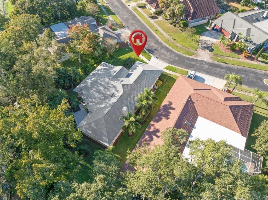 3045 Crest Drive Clearwater FL 33759 TB8444803 image54