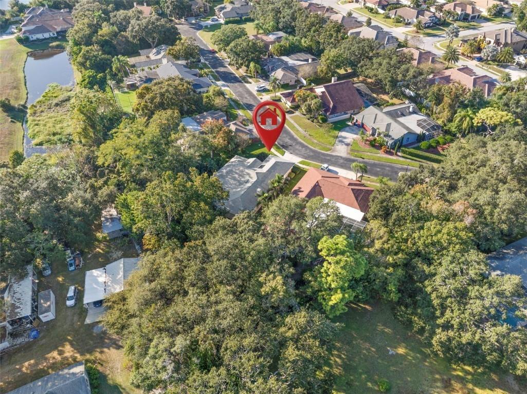 3045 Crest Drive Clearwater FL 33759 TB8444803 image55