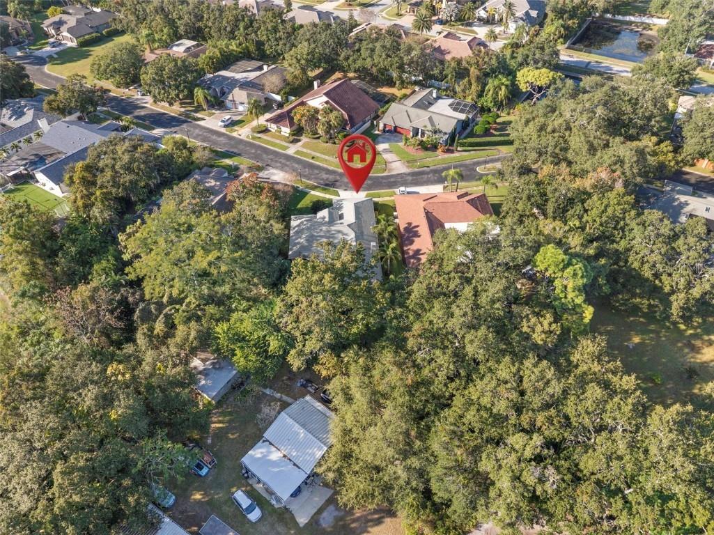 3045 Crest Drive Clearwater FL 33759 TB8444803 image56