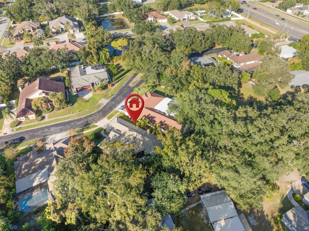 3045 Crest Drive Clearwater FL 33759 TB8444803 image57