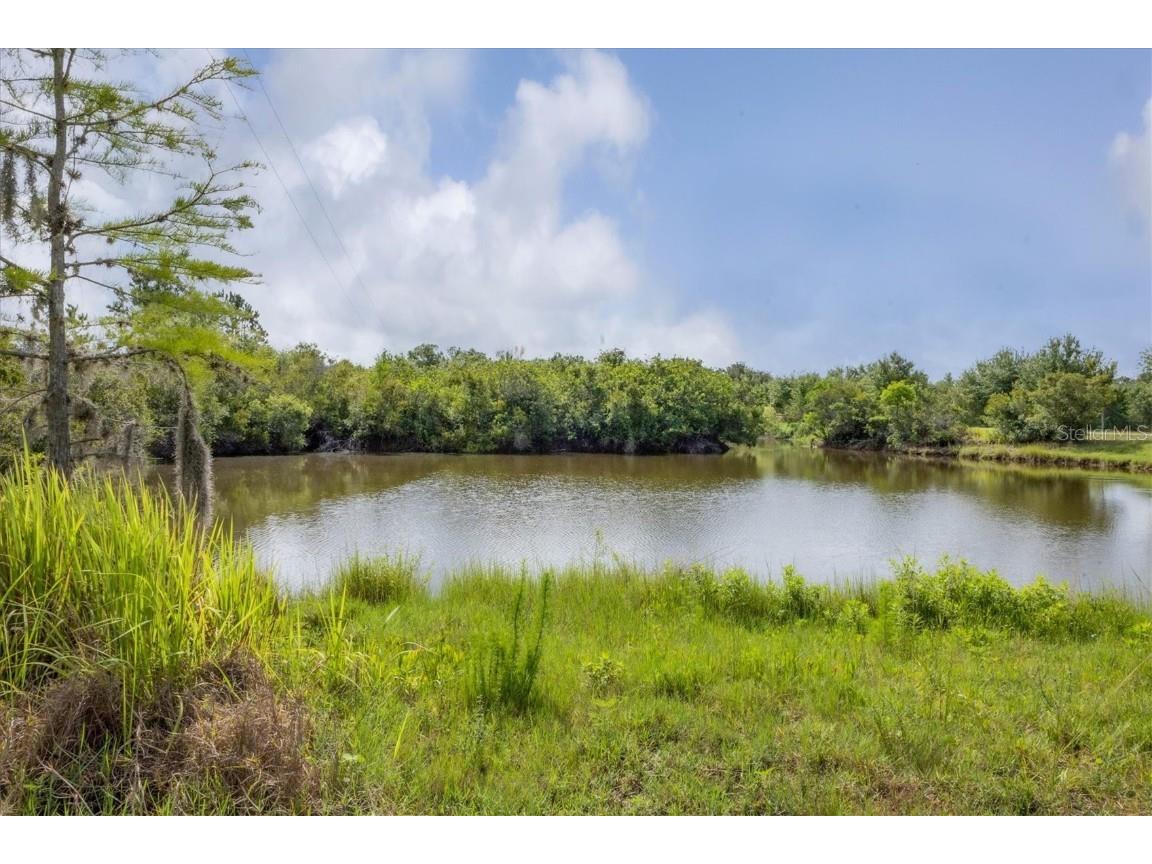 3045 Logue Road Myakka City FL 34251 A4655712 image17