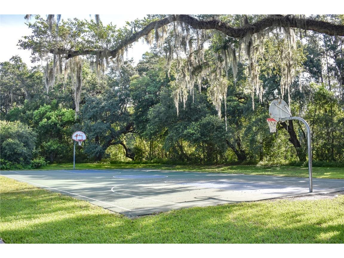 3045 Sangria Street Kissimmee FL 34744 O6343859 image28