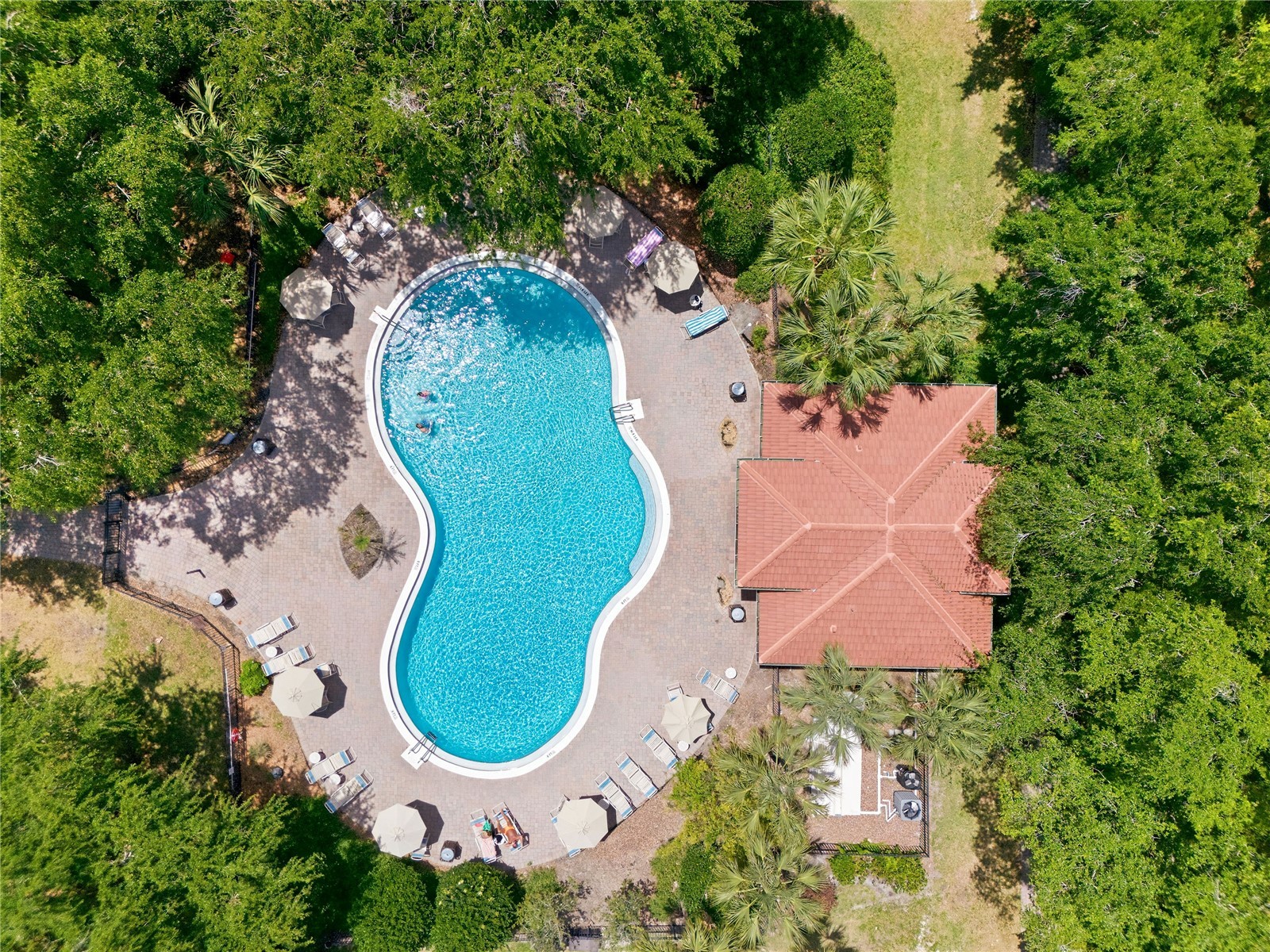 3045 Seaview Castle Drive Kissimmee FL 34746 O6403051 image2