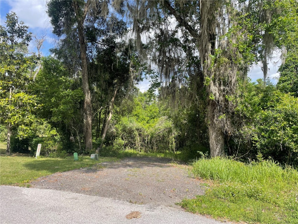 30457 Jubilee Way Sorrento FL 32776 O6021571 image1