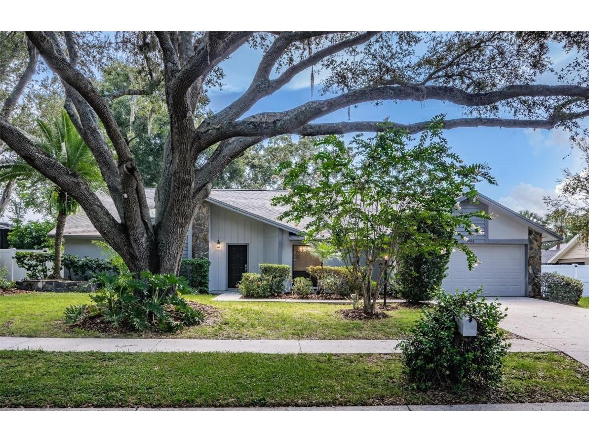 3046 Avalon Terrace Drive Valrico FL 33596 T3460852 image1