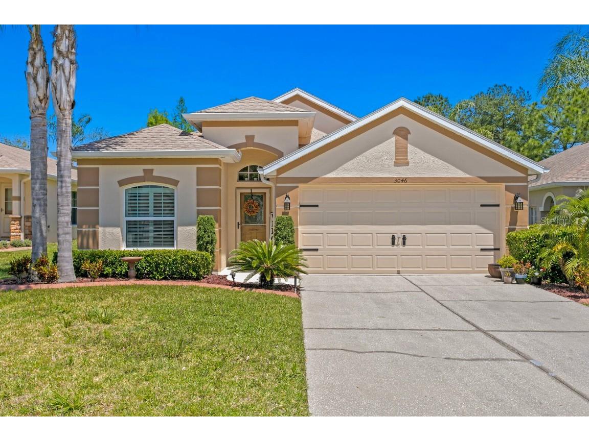 3046 Banyan Hill Lane Land O Lakes FL 34639 T3519715 image1