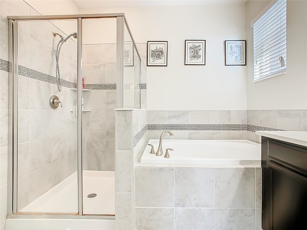 3046 Brook Stone Terrace Davenport FL 33837 P4937156 image39