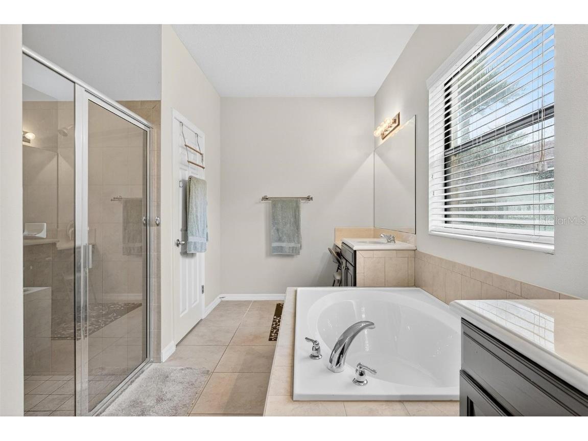 3046 Falconhill Drive Apopka FL 32712 O6355404 image30