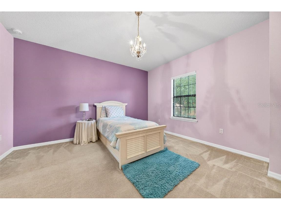 3046 Falconhill Drive Apopka FL 32712 O6355404 image46