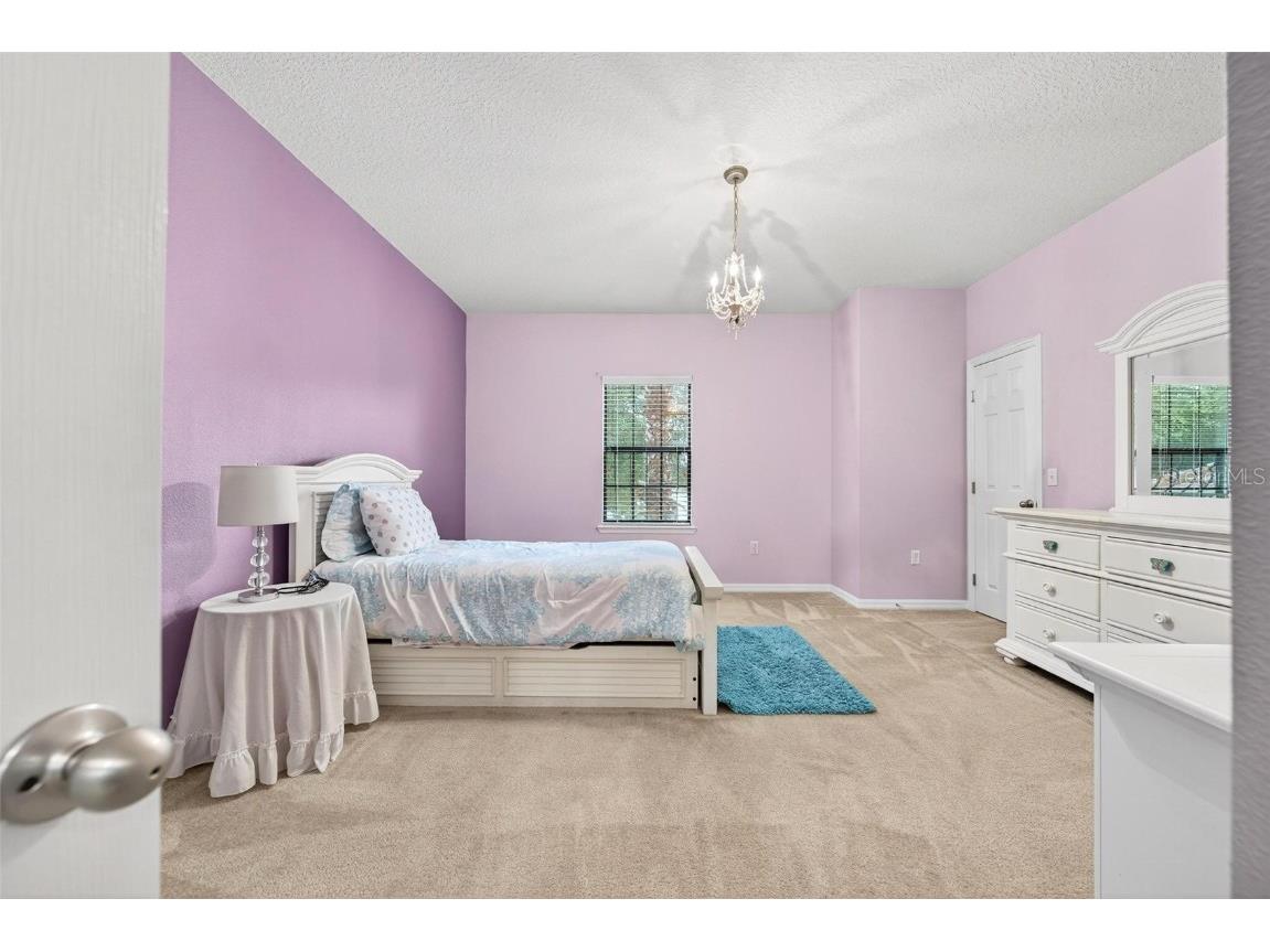 3046 Falconhill Drive Apopka FL 32712 O6355404 image47