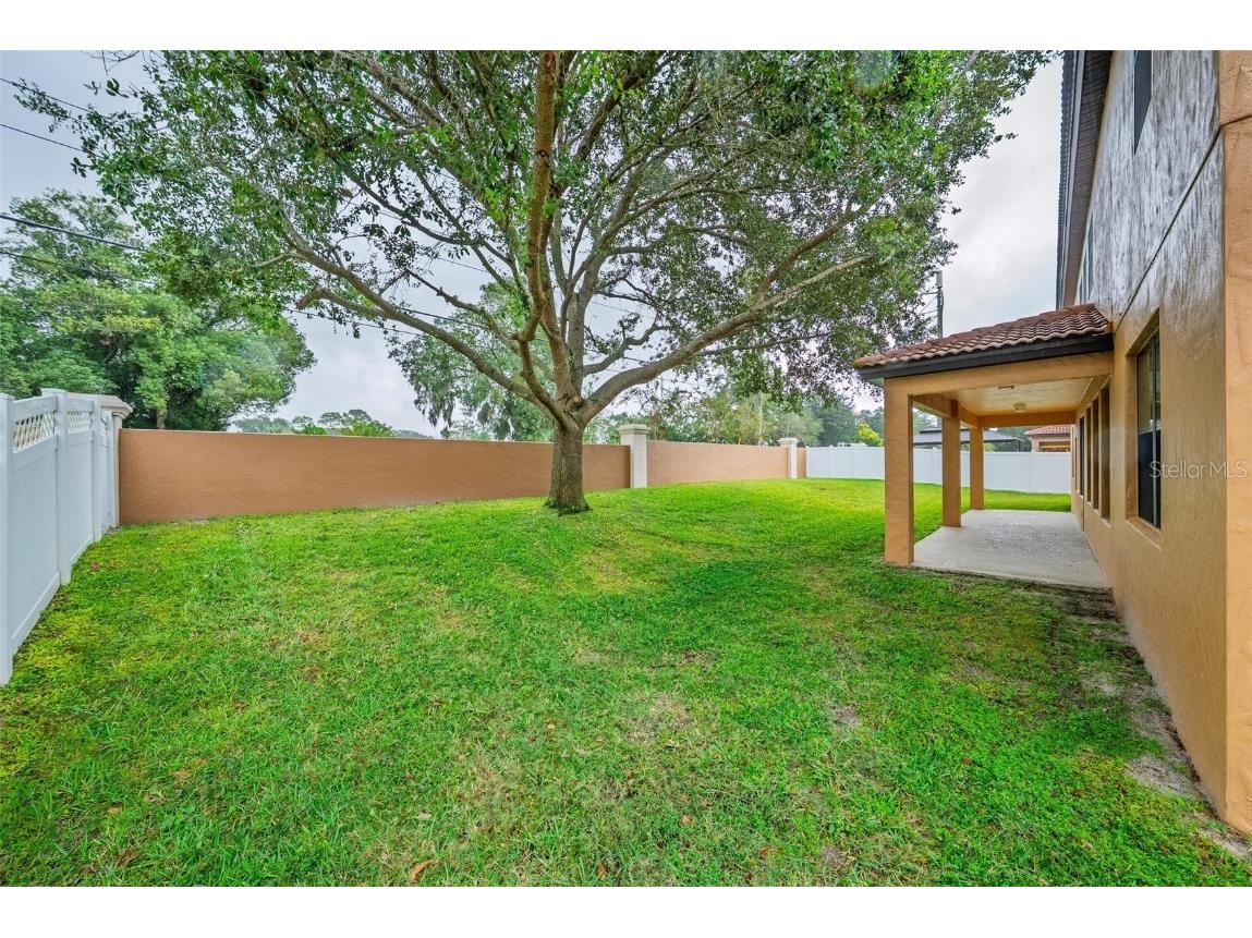 3046 Falconhill Drive Apopka FL 32712 O6355404 image62