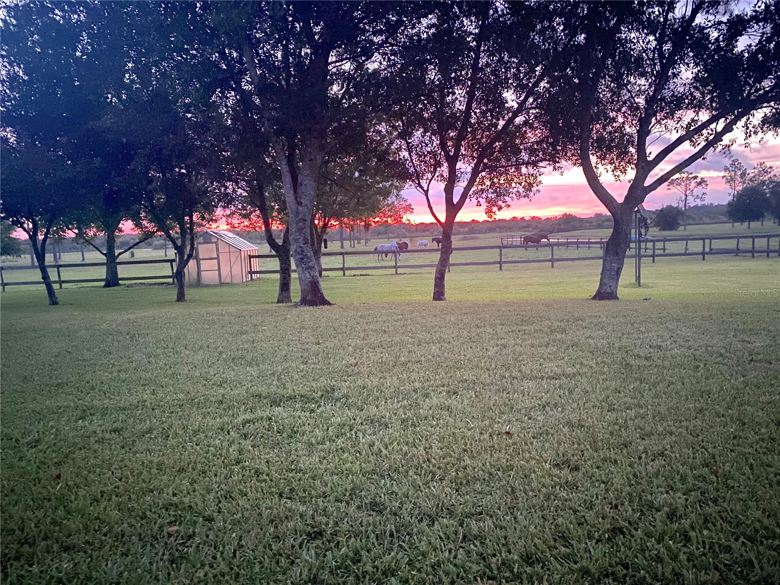 3046 N Bowden Road Avon Park FL 33825 L4961242 image19