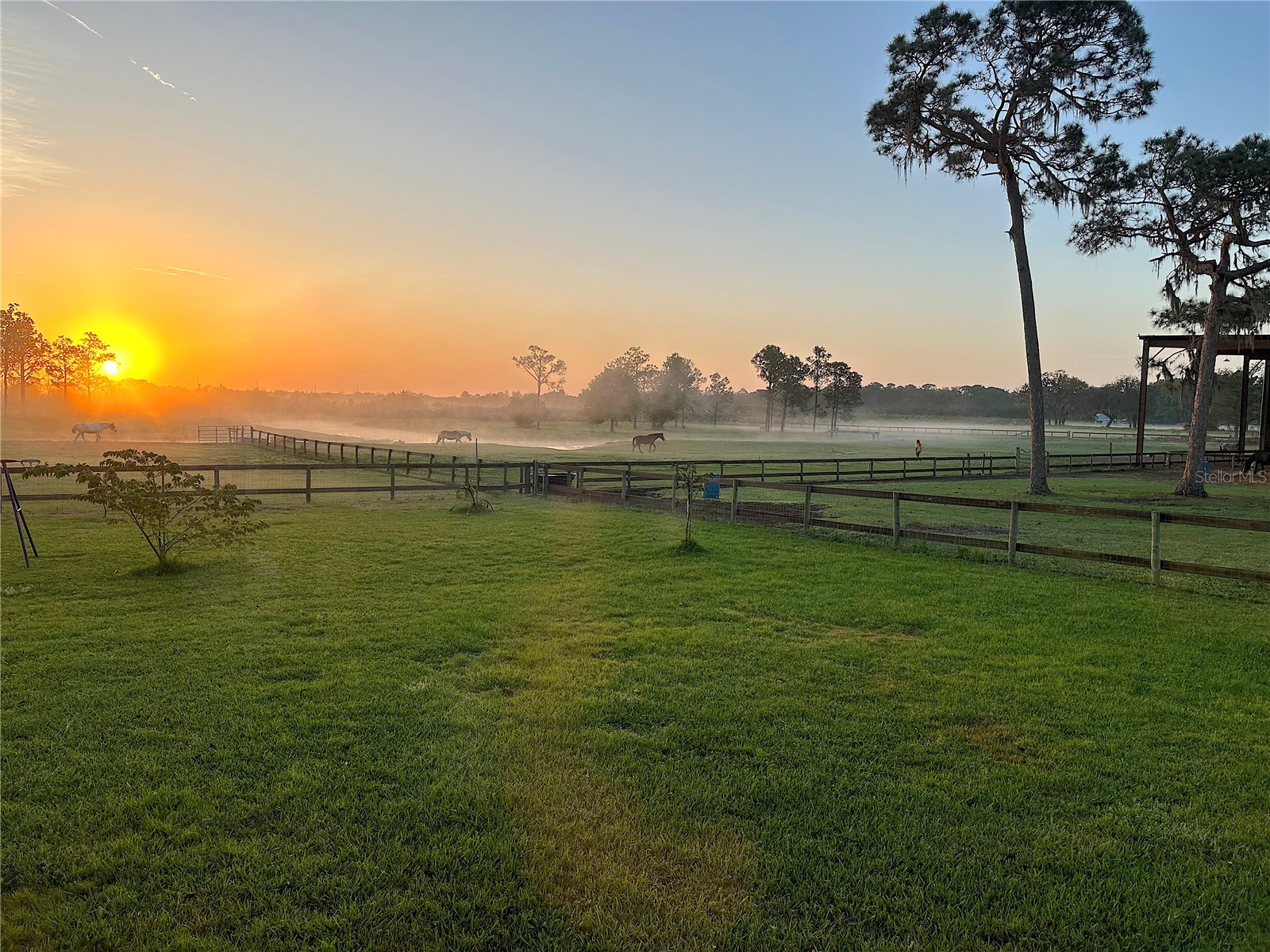 3046 N Bowden Road Avon Park FL 33825 L4961242 image21