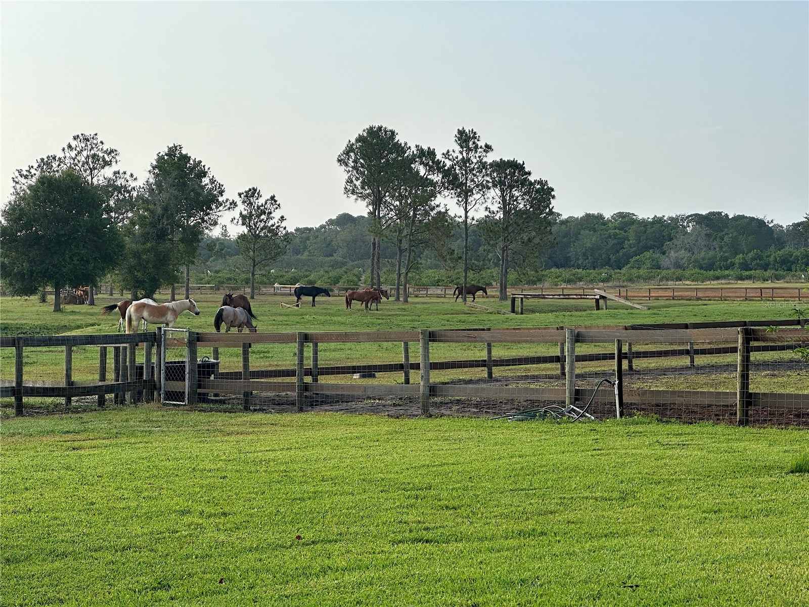 3046 N Bowden Road Avon Park FL 33825 L4961242 image24
