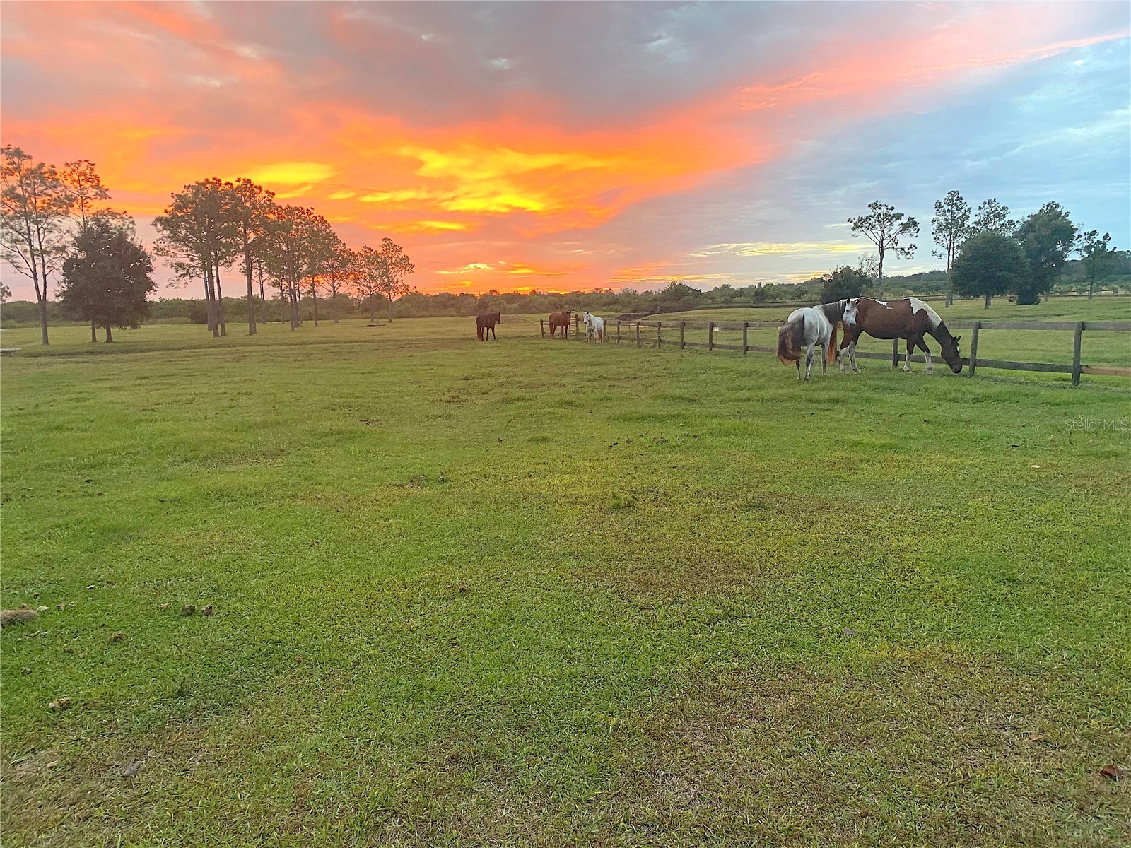 3046 N Bowden Road Avon Park FL 33825 L4961242 image28