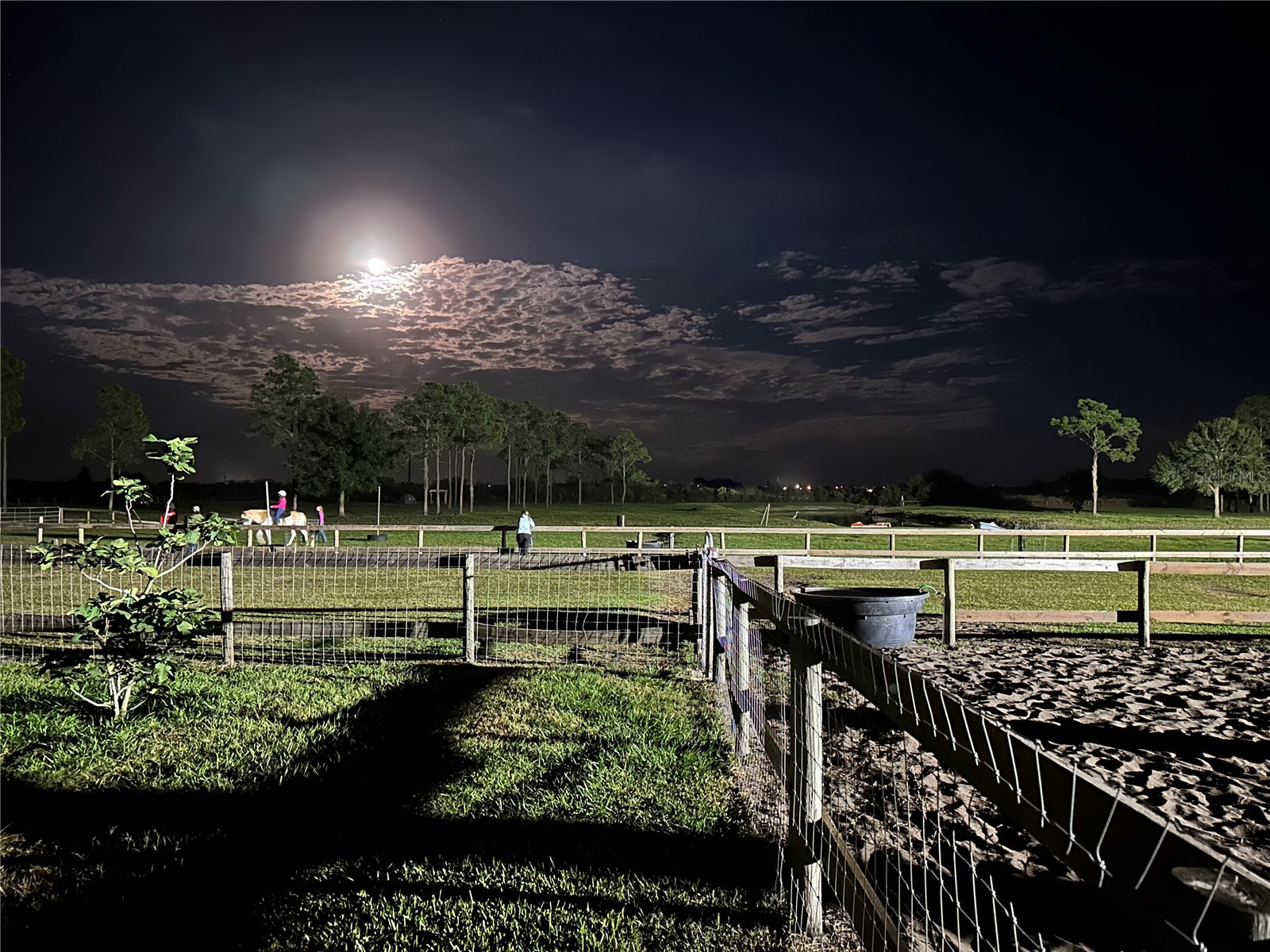 3046 N Bowden Road Avon Park FL 33825 L4961242 image34