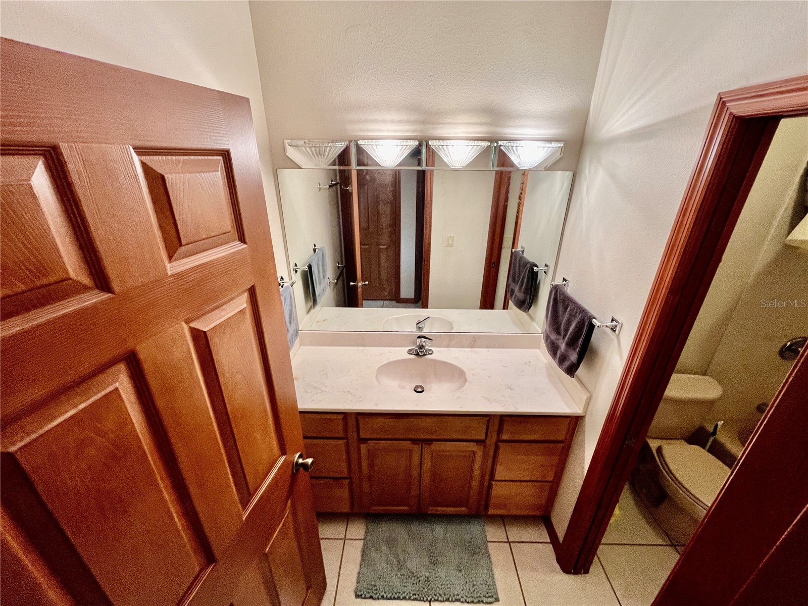 3046 N Bowden Road Avon Park FL 33825 L4961242 image54