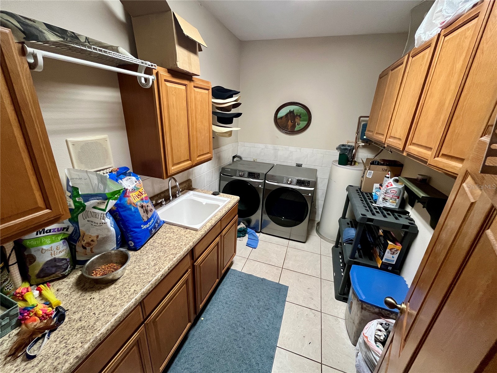3046 N Bowden Road Avon Park FL 33825 L4961242 image56