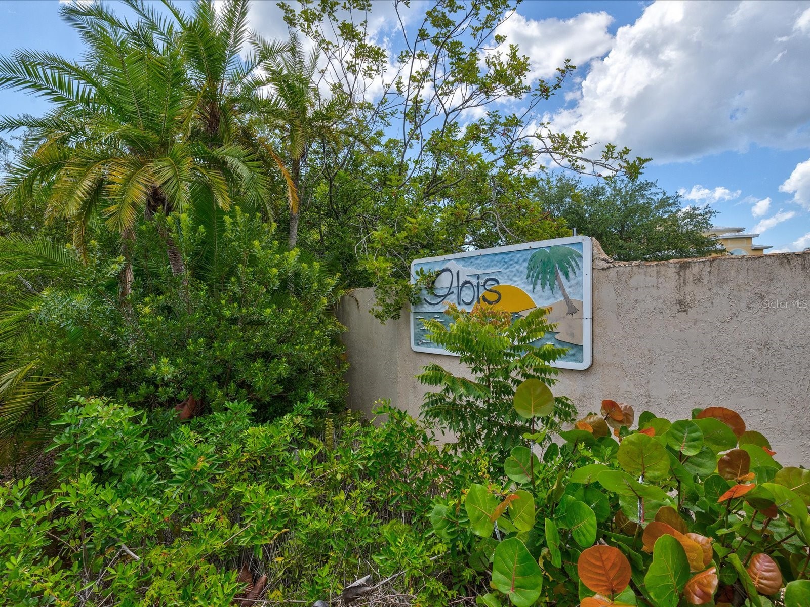 3046 Sheppards Crook Ct Holiday FL 34691 - GULF OF MEXICO W7885983 image9