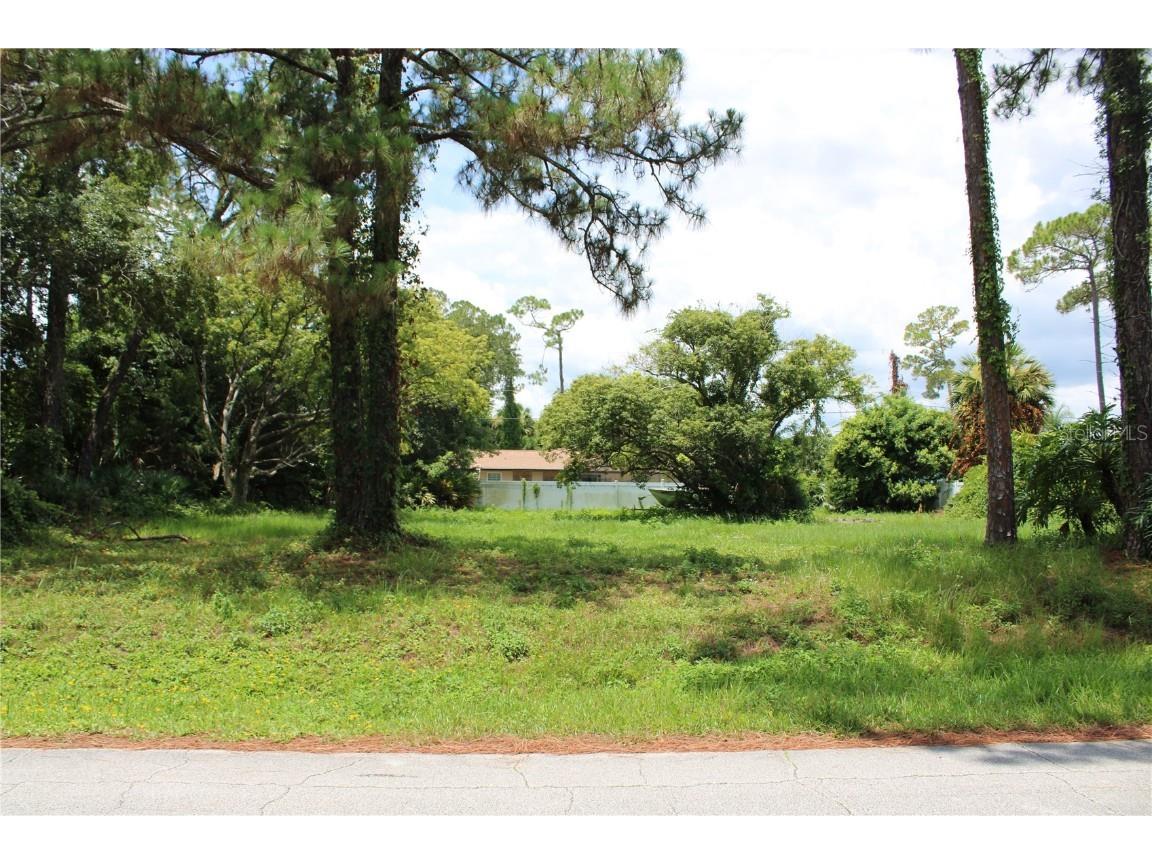 3046 Woodland Drive Edgewater FL 32141 NS1082041 image1