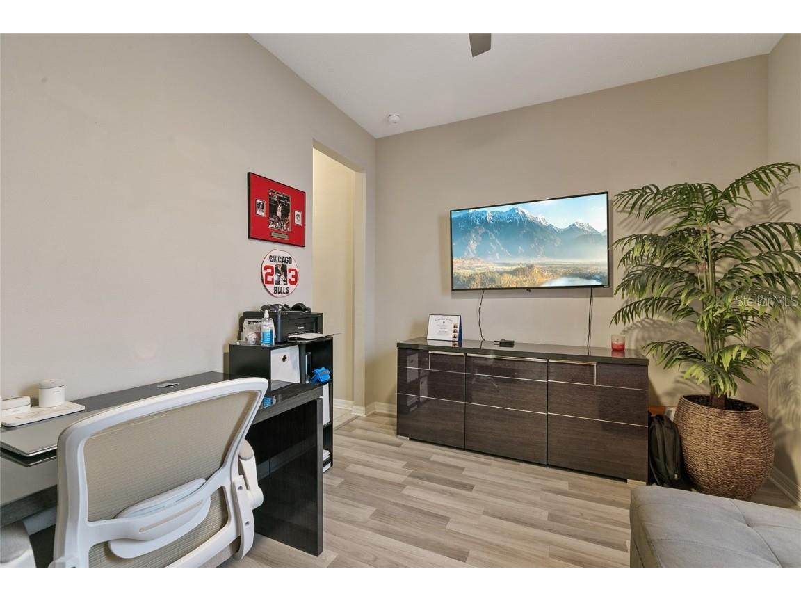 30462 Caravelle Lane Wesley Chapel FL 33545 TB8455601 image14