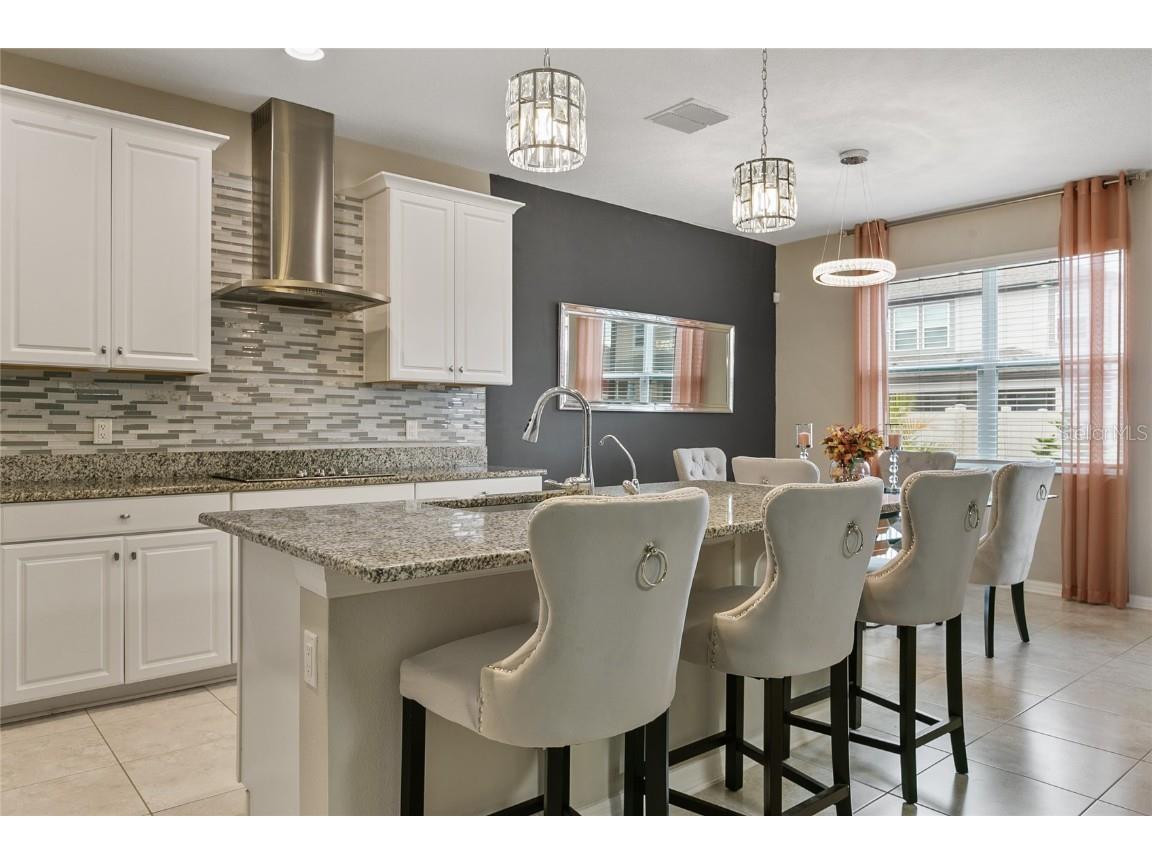 30462 Caravelle Lane Wesley Chapel FL 33545 TB8455601 image24