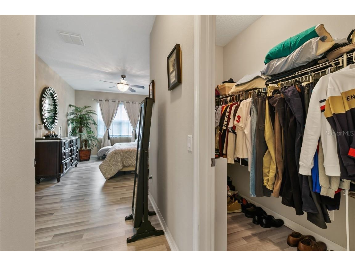 30462 Caravelle Lane Wesley Chapel FL 33545 TB8455601 image28