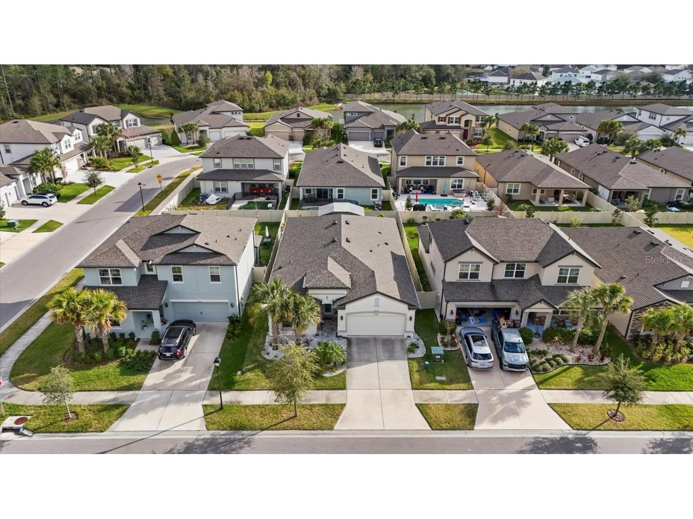 30462 Caravelle Lane Wesley Chapel FL 33545 TB8455601 image39