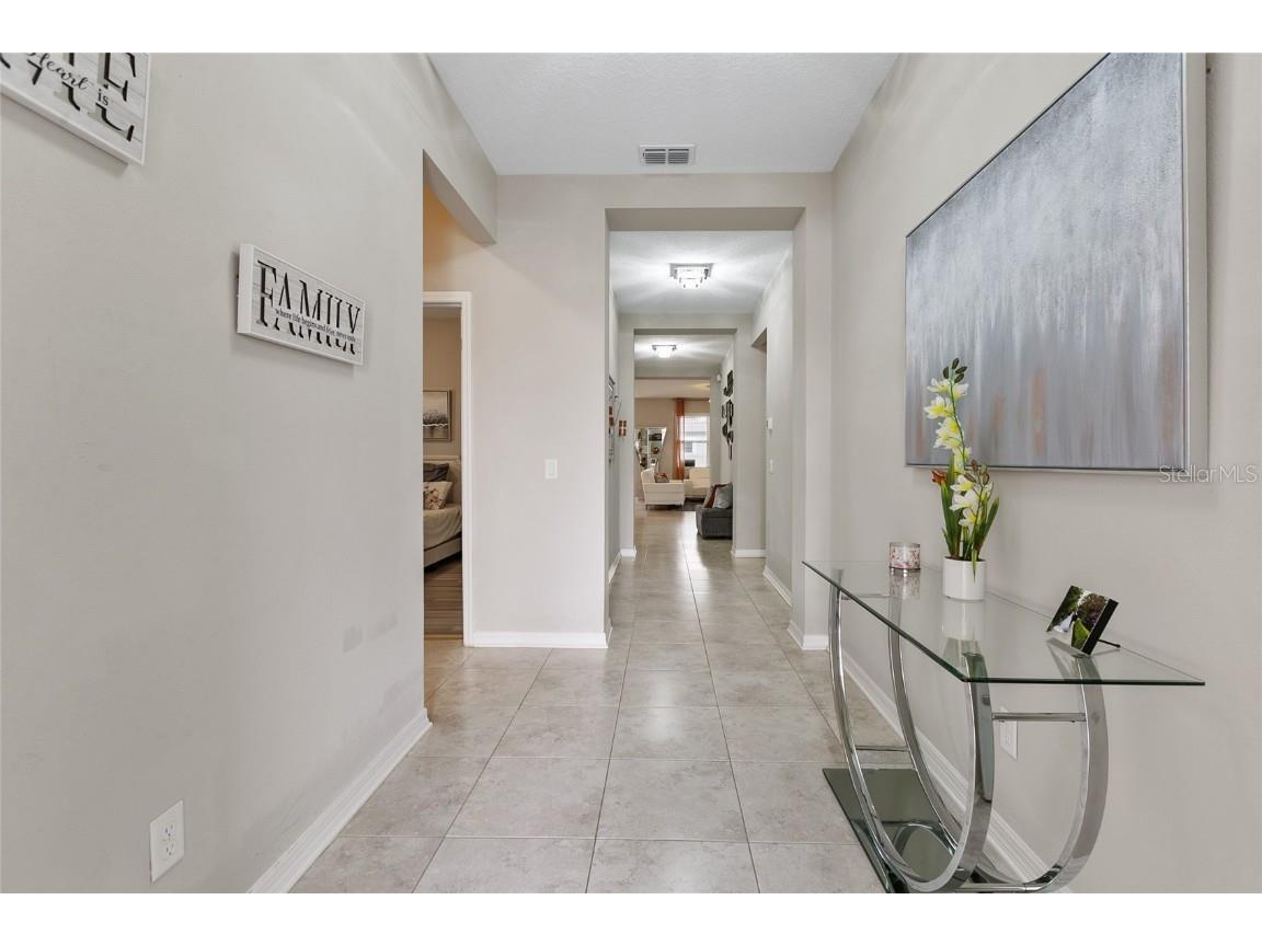 30462 Caravelle Lane Wesley Chapel FL 33545 TB8455601 image5