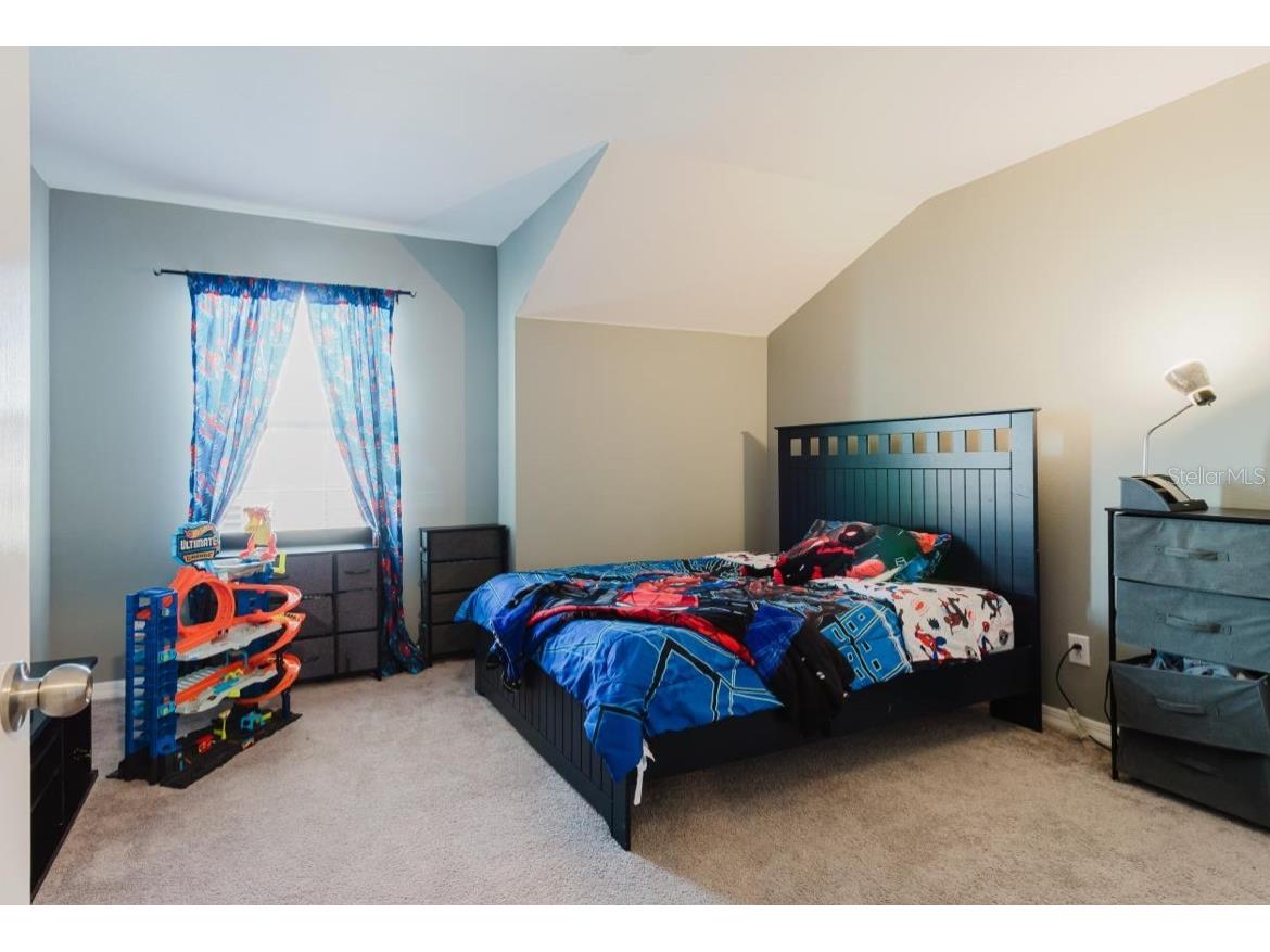 3047 Adams Cross Drive Zephyrhills FL 33540 OM718368 image14