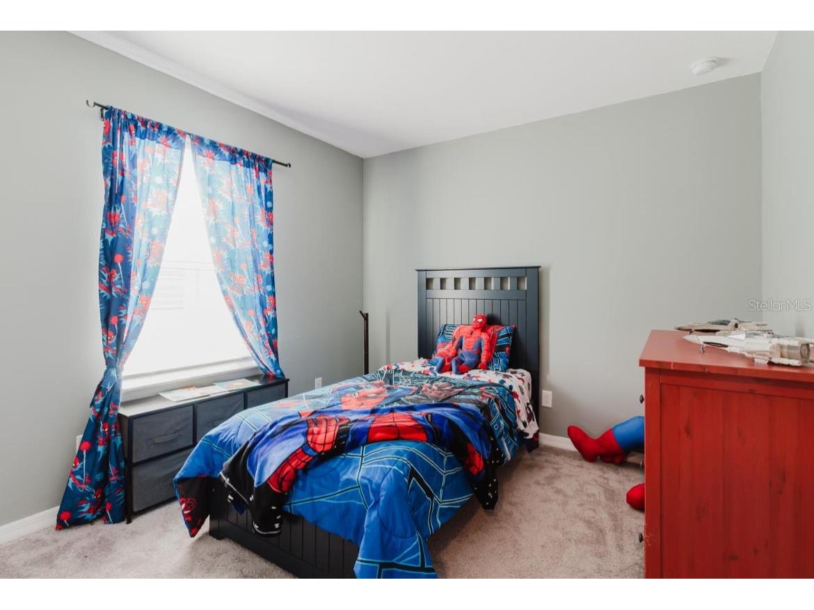 3047 Adams Cross Drive Zephyrhills FL 33540 OM718368 image15