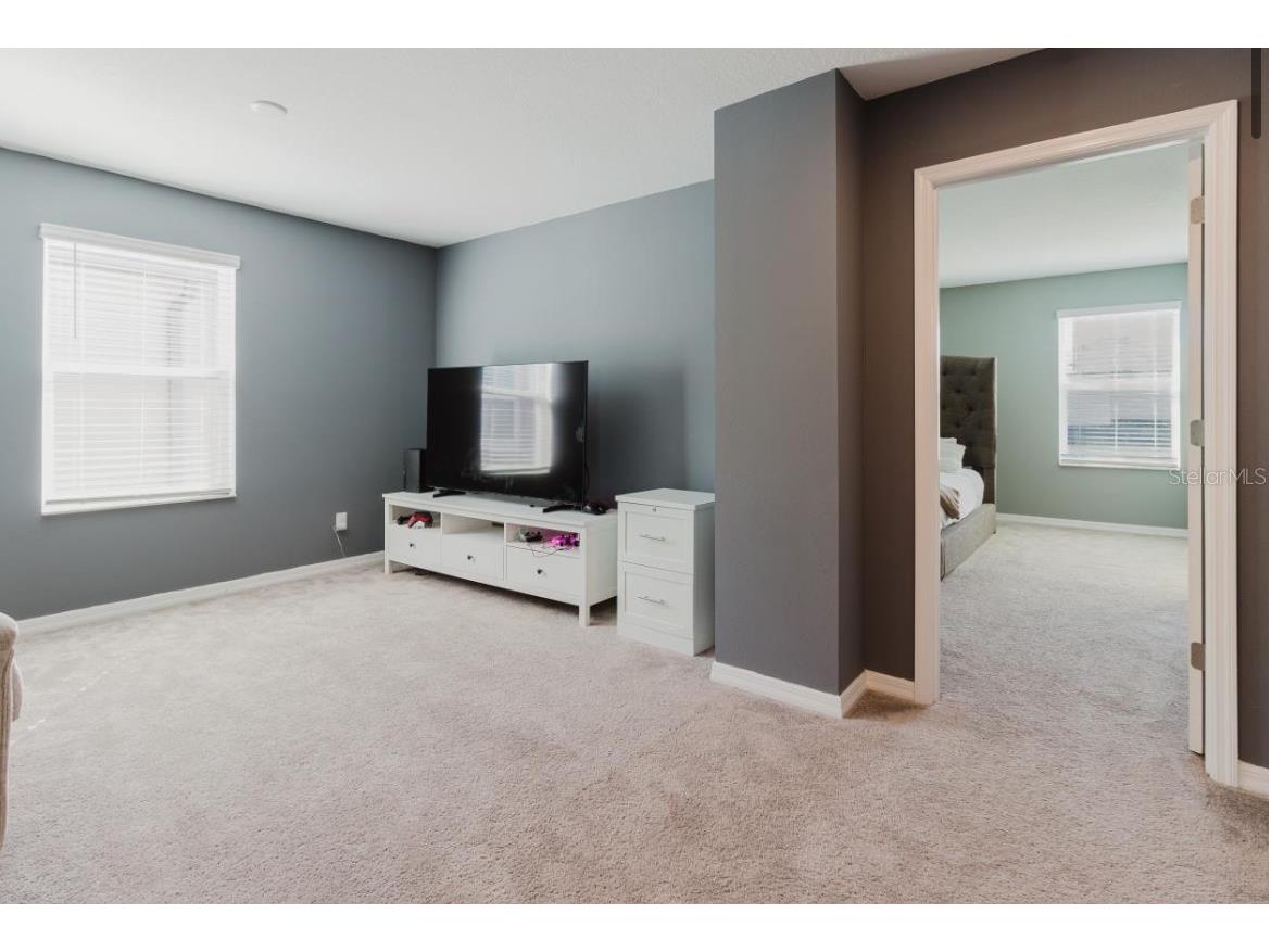 3047 Adams Cross Drive Zephyrhills FL 33540 OM718368 image17