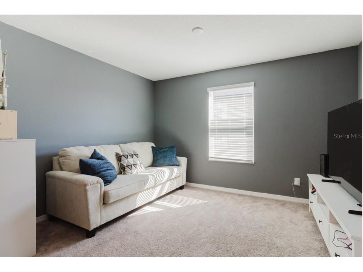 3047 Adams Cross Drive Zephyrhills FL 33540 OM718368 image19