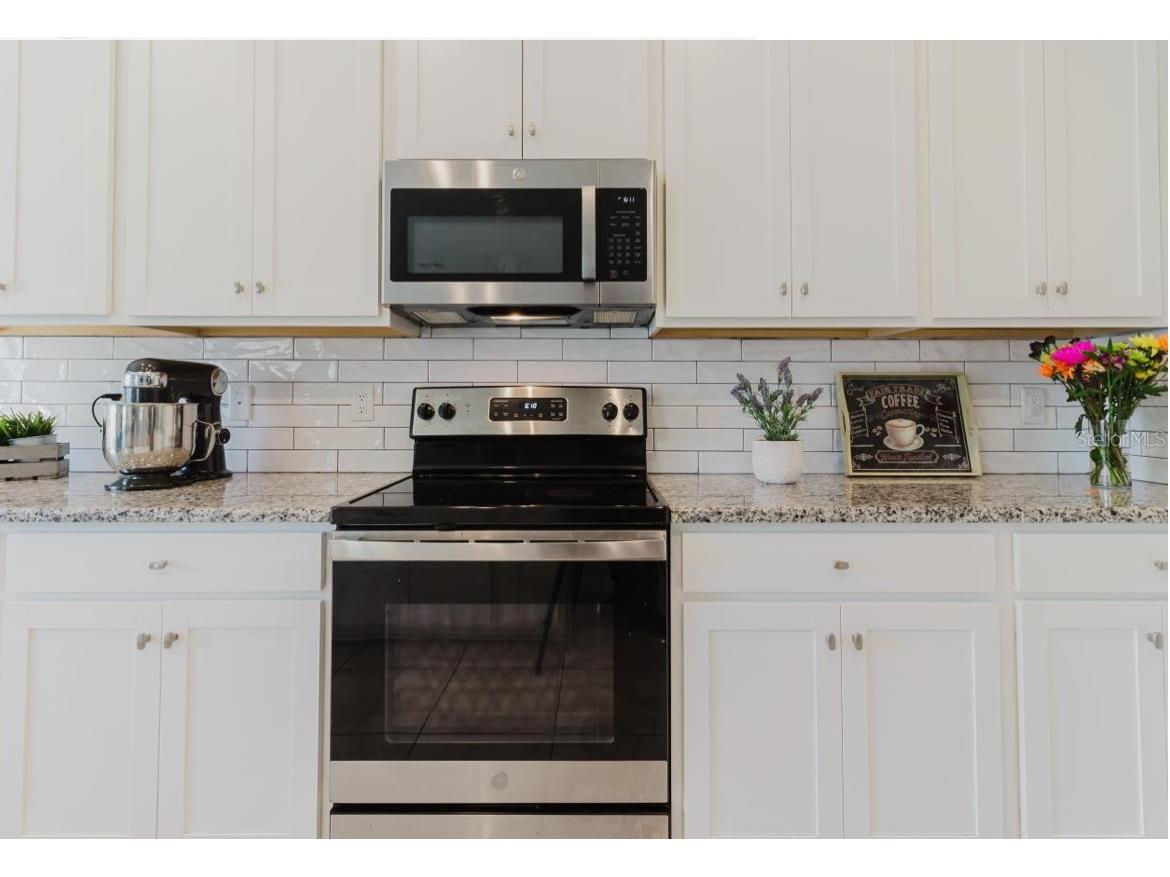 3047 Adams Cross Drive Zephyrhills FL 33540 OM718368 image9