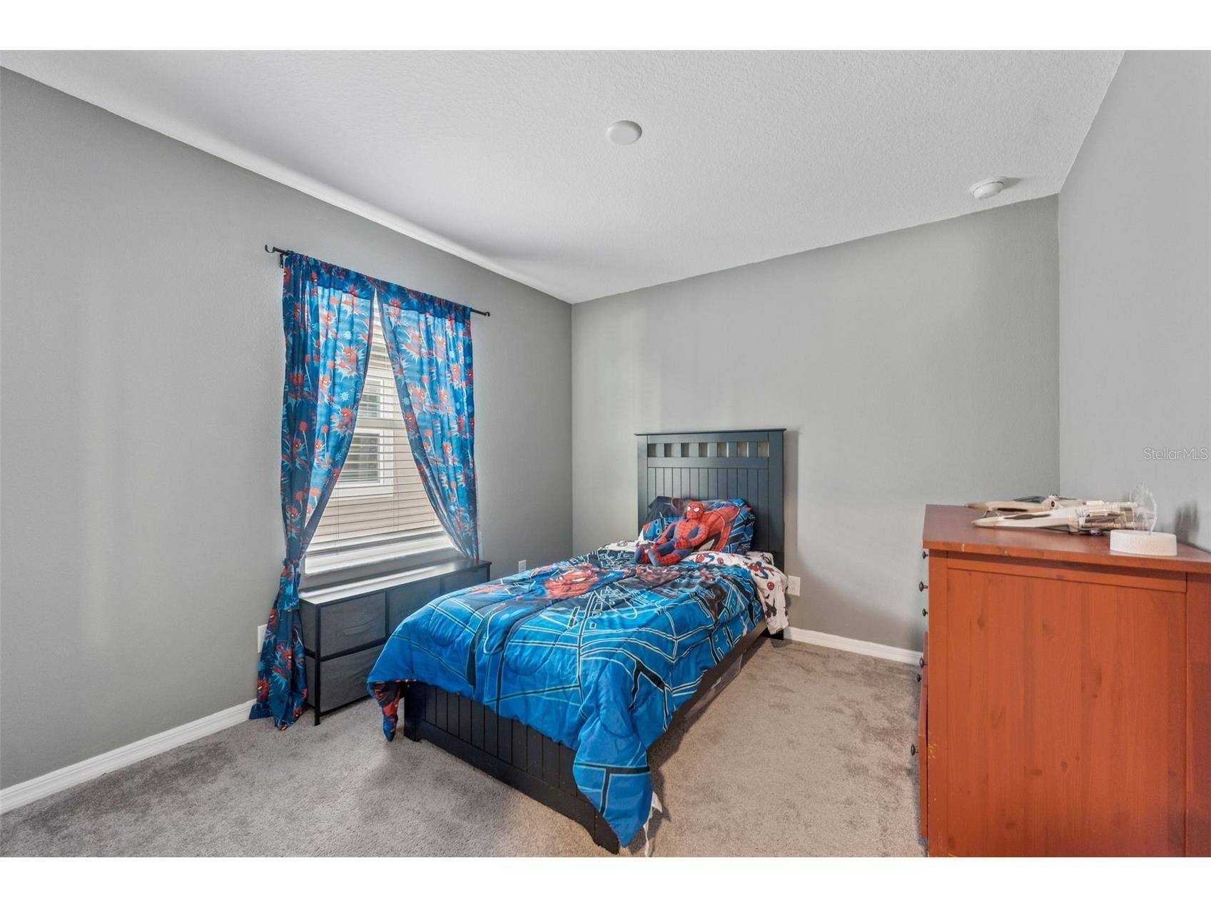 3047 Adams Cross Drive Zephyrhills FL 33540 TB8527623 image21
