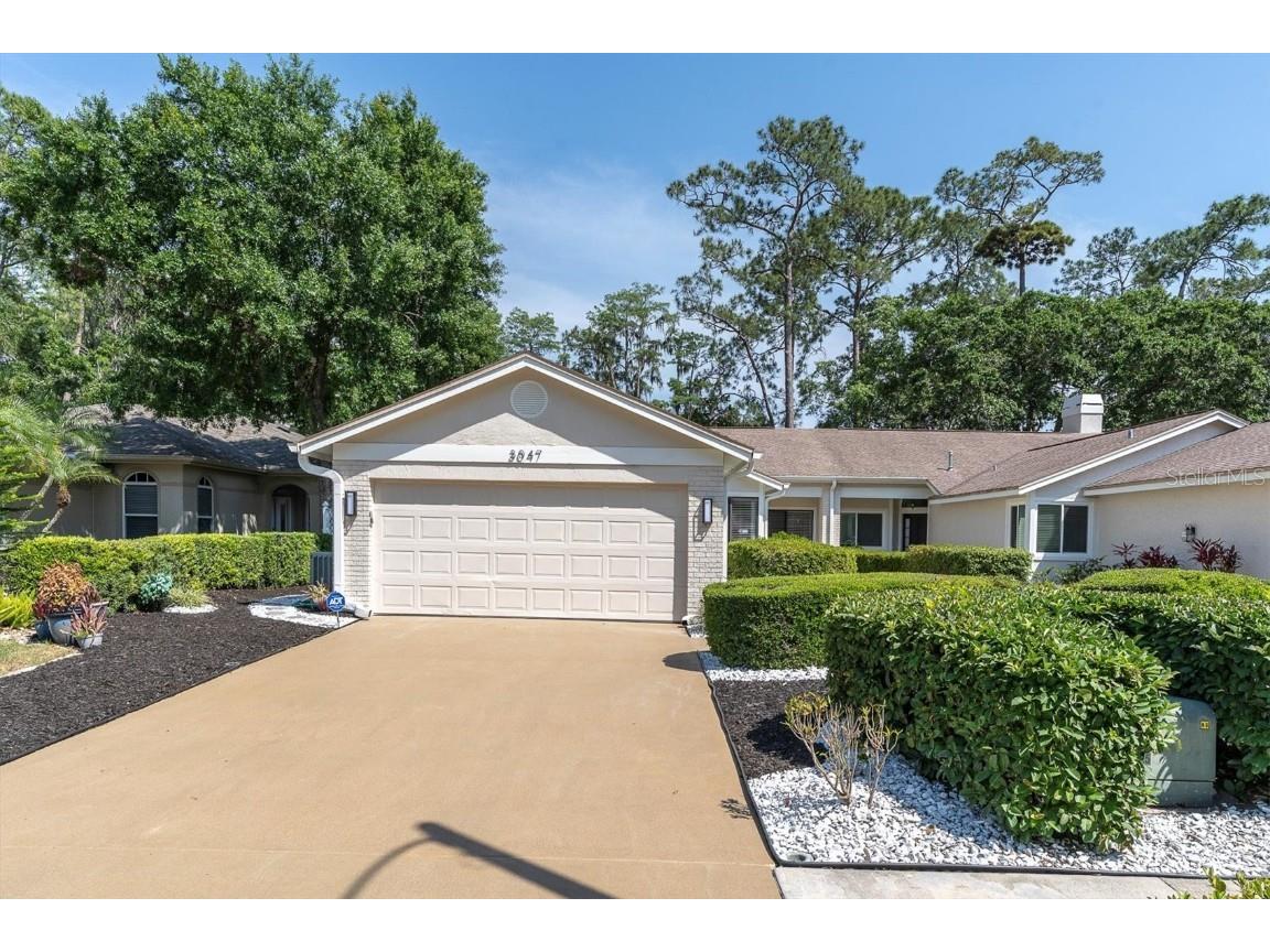3047 Bolt Drive Palm Harbor FL 34685 W7874834 image1