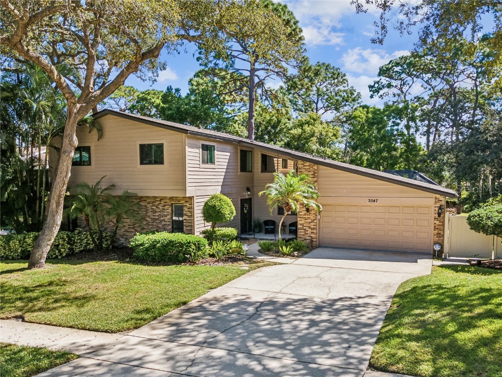 3047 Enisglen Drive Palm Harbor FL 34683 U8255939 image1