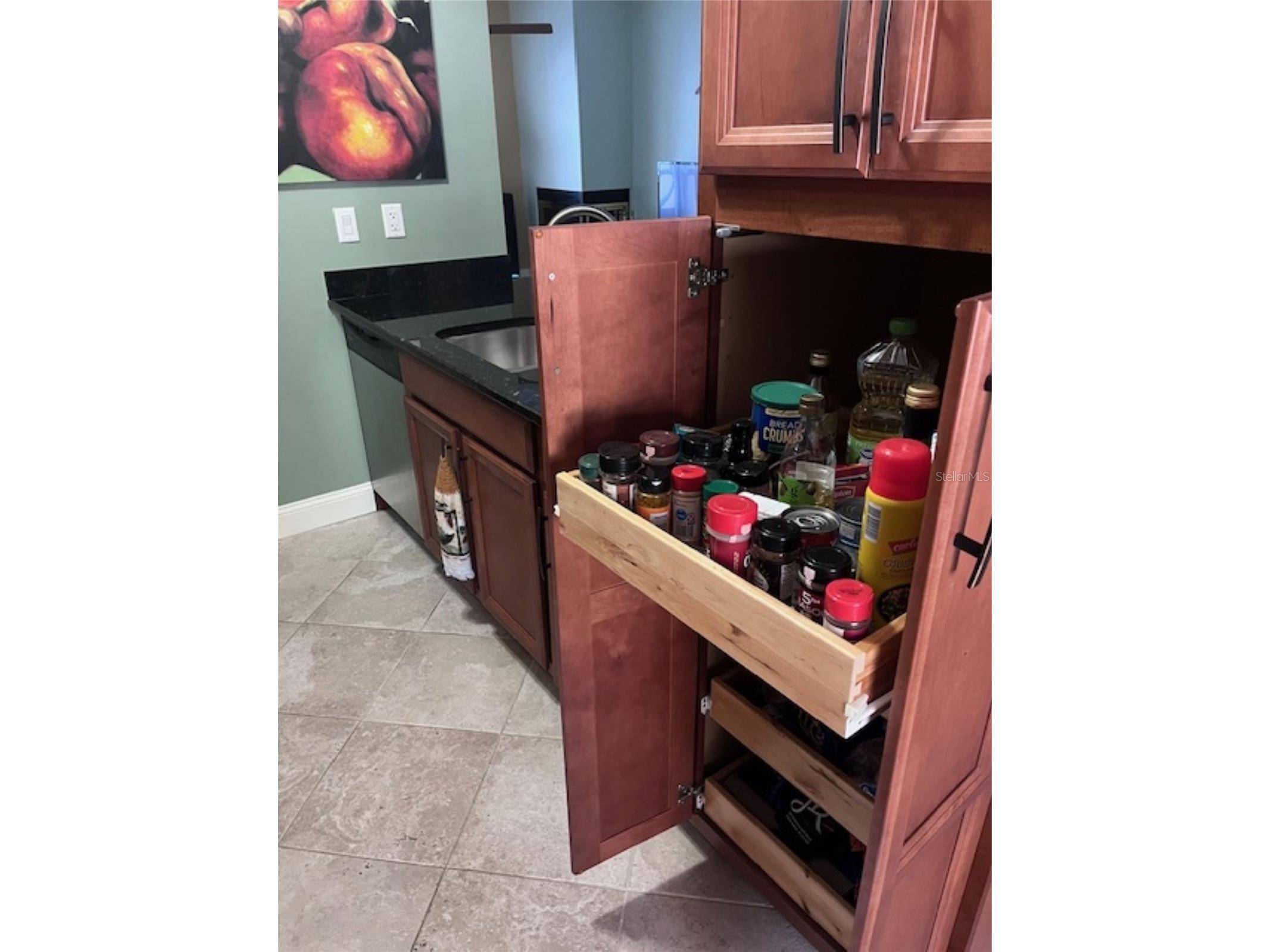 3047 Overlook Place Clearwater FL 33760 A4692386 image11