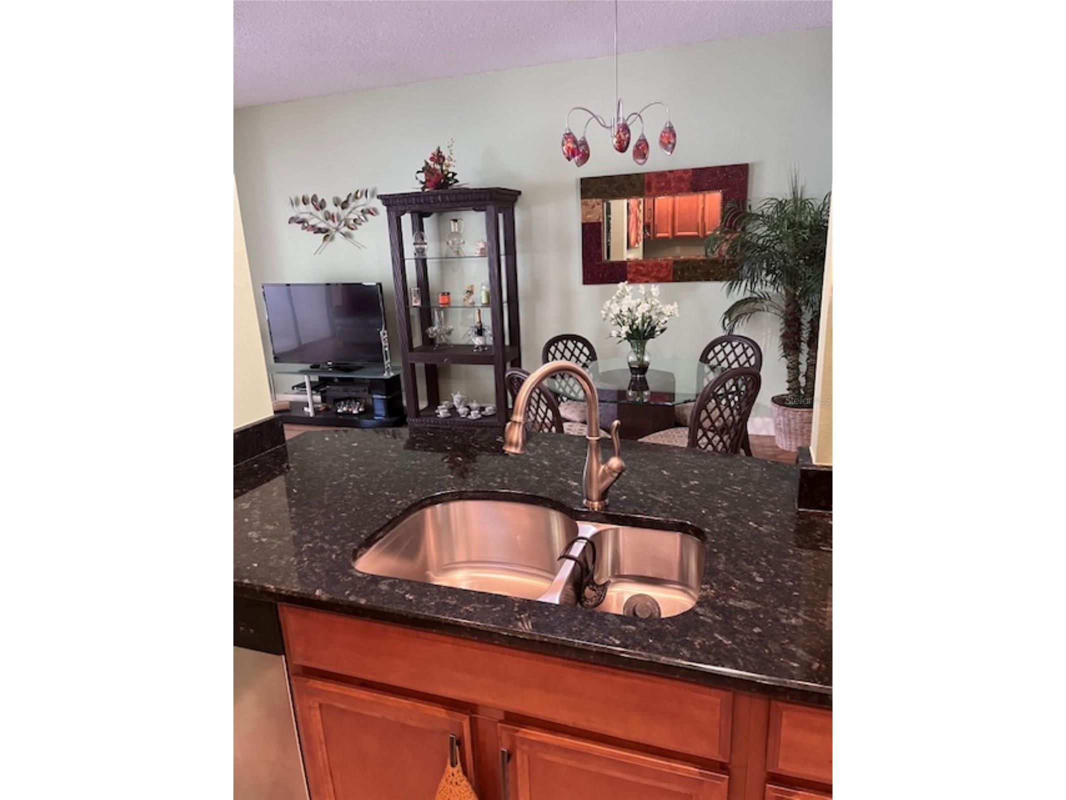 3047 Overlook Place Clearwater FL 33760 A4692386 image12