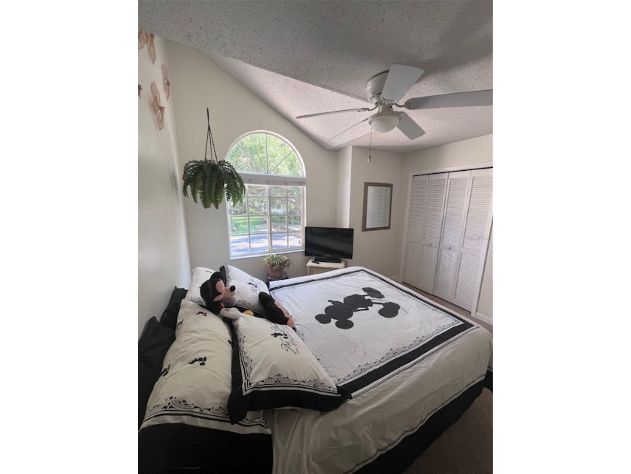 3047 Overlook Place Clearwater FL 33760 A4692386 image37