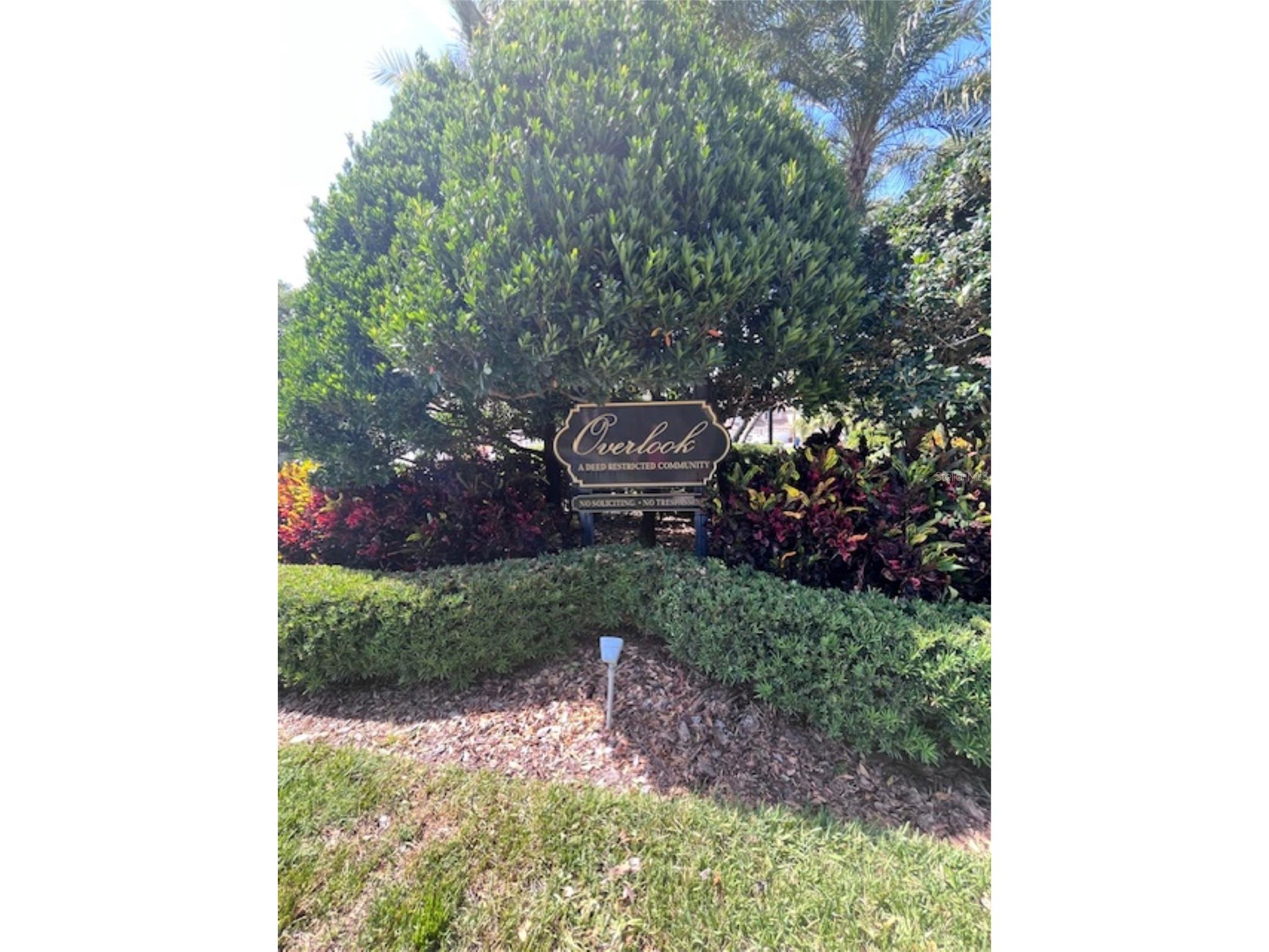 3047 Overlook Place Clearwater FL 33760 A4692386 image50