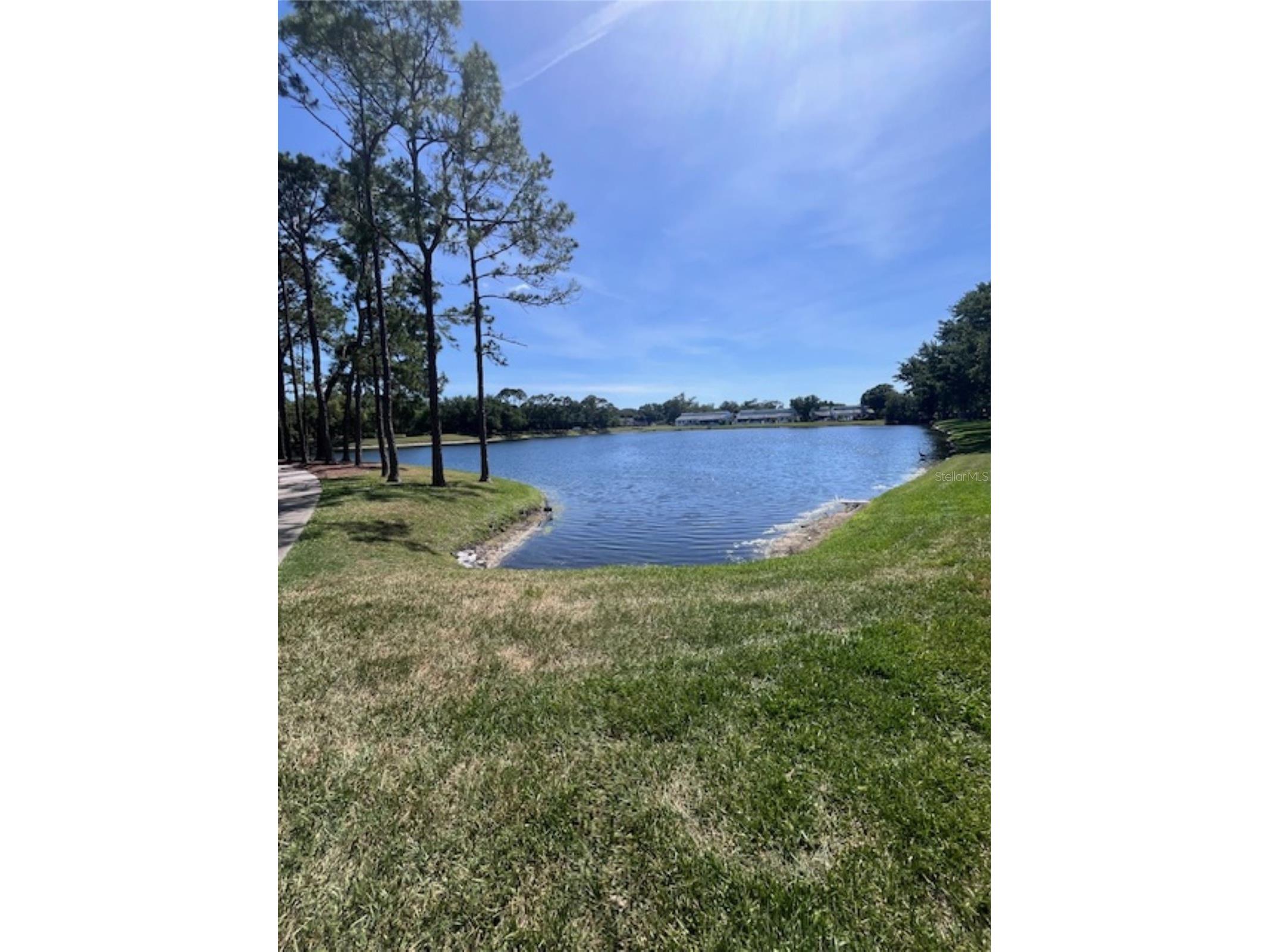 3047 Overlook Place Clearwater FL 33760 A4692386 image54