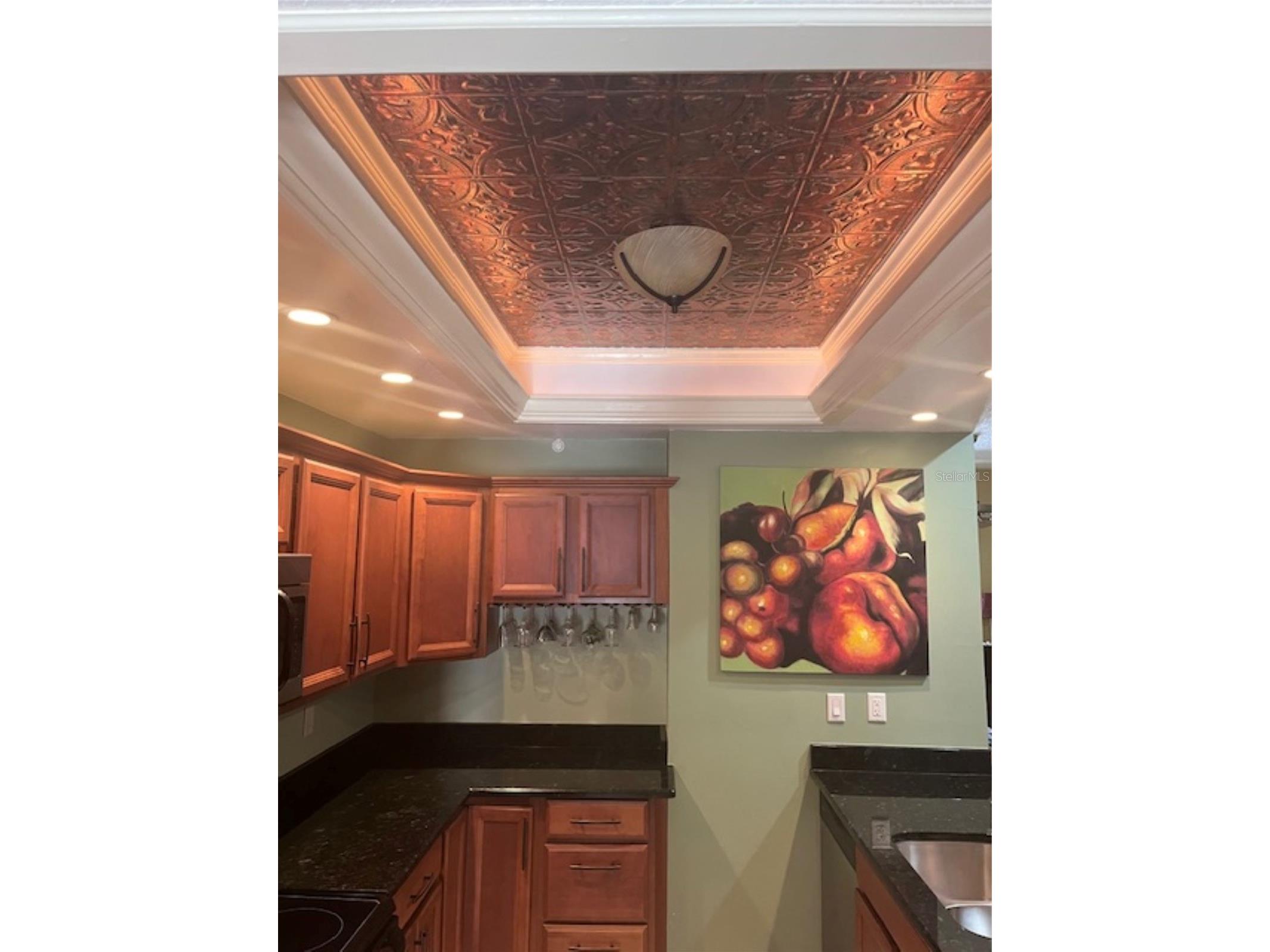 3047 Overlook Place Clearwater FL 33760 A4692386 image7