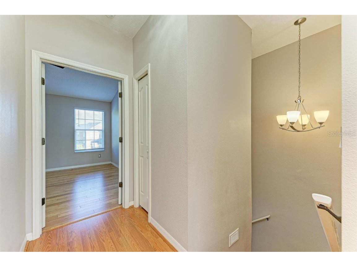 3047 Pointeview Drive Tampa FL 33611 - HILLSBOROUGH BAY TB8417493 image26