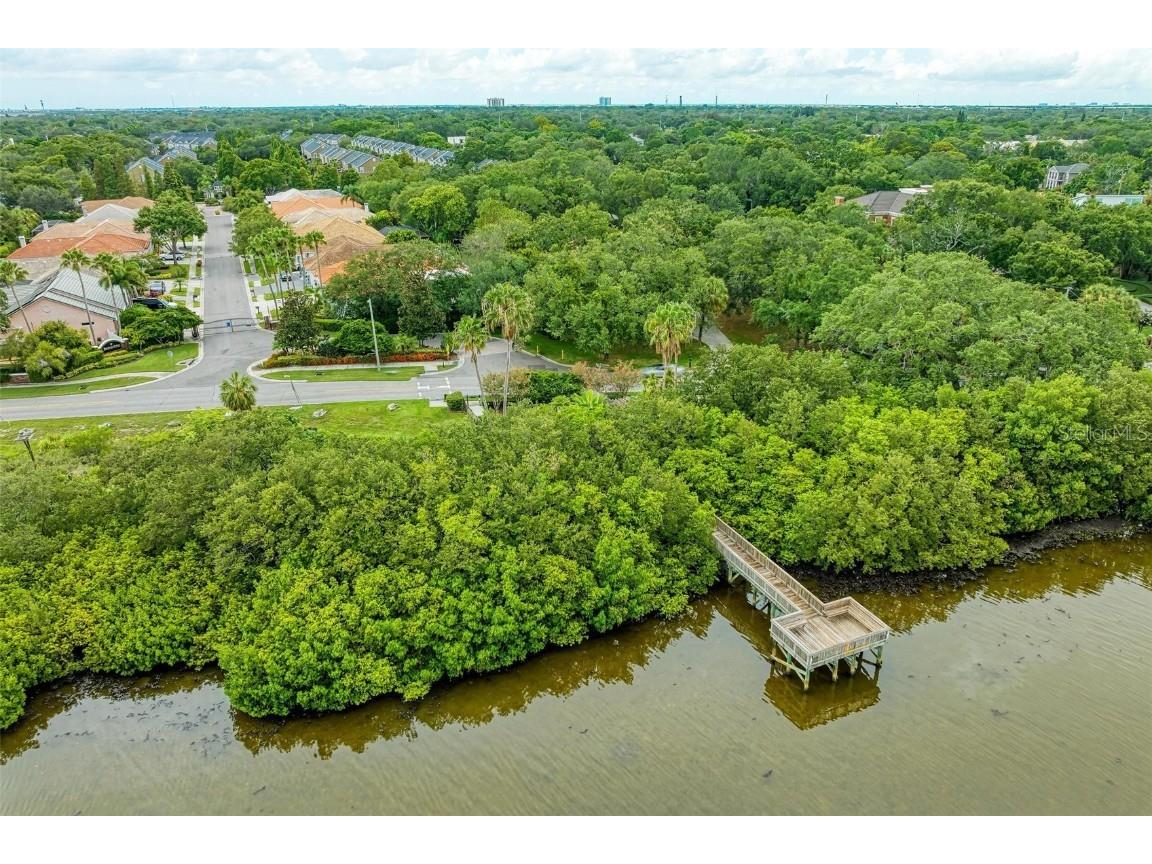 3047 Pointeview Drive Tampa FL 33611 - HILLSBOROUGH BAY TB8417493 image57